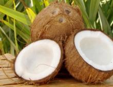 Что собой представляет кокосовый орех