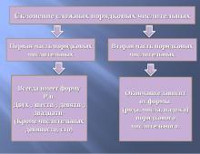 Склонение числительных по падежам Как просклонять порядковое числительное